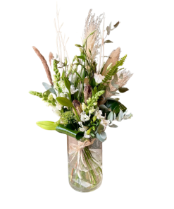 פראג רקע לבן