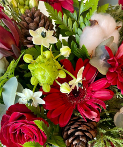 אור בין העננים קרוב