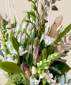 פראג מבט קרוב