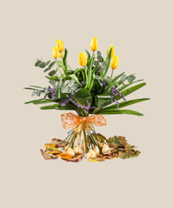 טוליפ סיפור אהבה חורפי צהוב