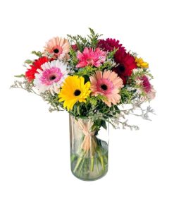 ספרות זולה עם רקע לבן