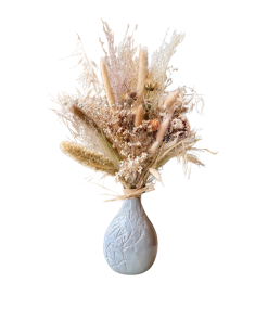 הפרח הנצחי רקע לבן