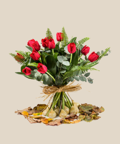 טוליפ סיפור אהבה חורפי אדום