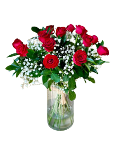 סאן פטרסבורג עם רקע לבן