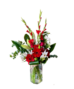 מנגינת אהבה רקע לבן