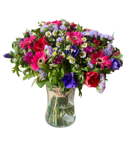 רגע אחרי הגשם רקע לבן