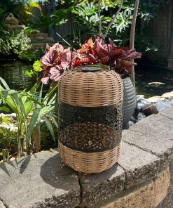 עששית לגינה