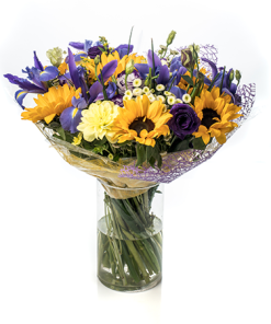 חמניות-חורפי