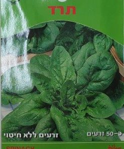 תרד - זרעים