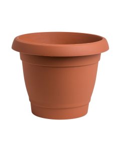 עציצי פלסטיק קלאסיים