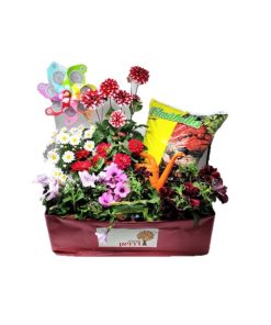 Alternative view of מארז פורח (מתאים גם לילדים)