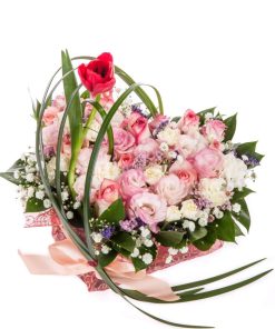 Alternative view of נשיקות