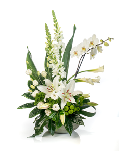 סידורי פרחים