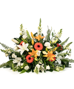 סידור-במה רקע לבן