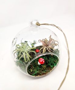 סיפור באוויר