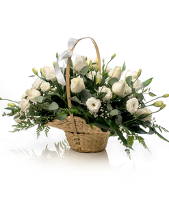 סל לבן רקע לבן