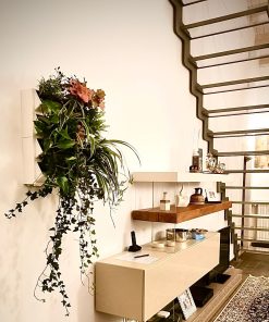 קיר-ירוק--מדהים-מהצד2