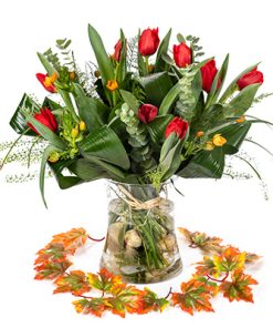 קריצה-כתומה רקע לבן